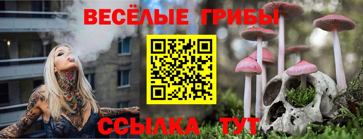 Галлюциногенные грибы Magic Shrooms Петрозаводск