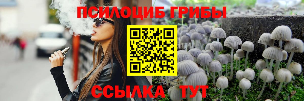 Псилоцибиновые грибы ЛСД  Псилоцибиновые грибы мицелий  Петрозаводск  Вход с VPN 